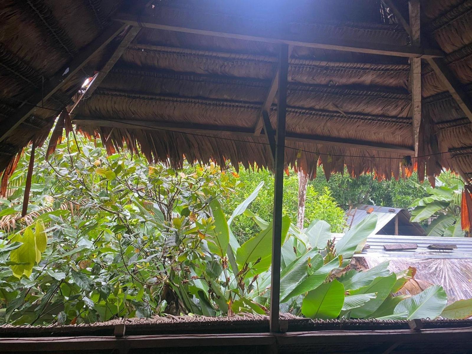 Xingu Camping Site Летисия Экстерьер фото