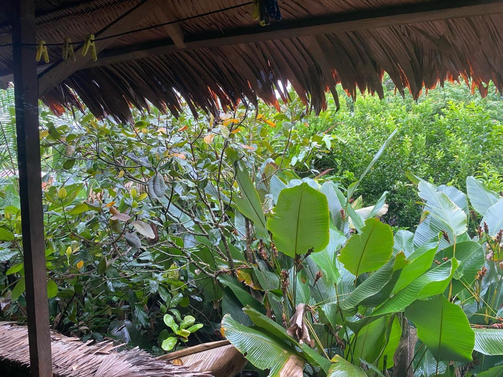 Xingu Camping Site Летисия Экстерьер фото