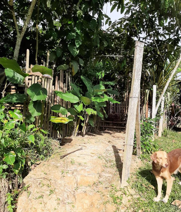 Xingu Camping Site Летисия Экстерьер фото